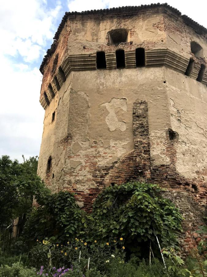 Tanners Tower Condo With A Fireplace Sibiu Exterior photo